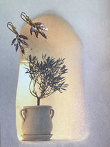 925 Sterling Silver, Rhodium Plated Olive Branch Earrings with Freshwater Pearls