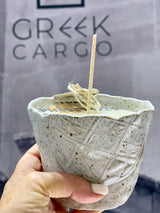 NIKA CERAMIC LIVANI SOY CANDLE -