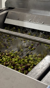 Mystikos Karpos Early Harvest Extra Virgin Olive Oil from Nemea 500ml