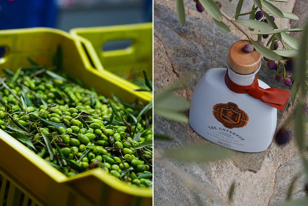 The Governor Premium Extra Virgin Olive Oil 500ml