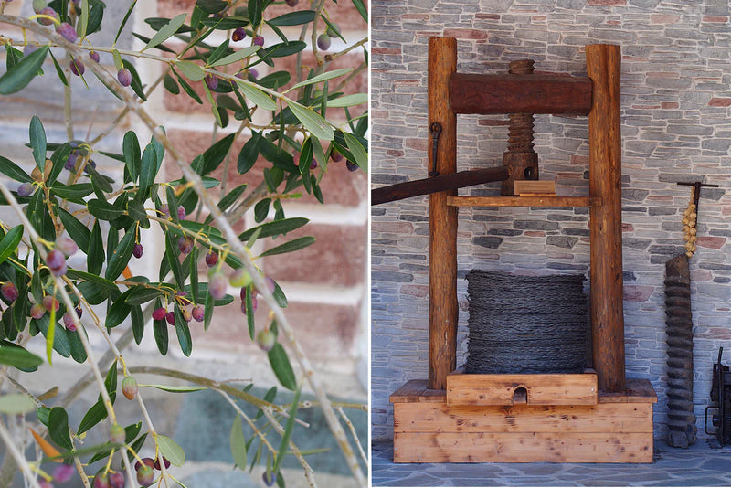 The Governor Premium Extra Virgin Olive Oil 500ml