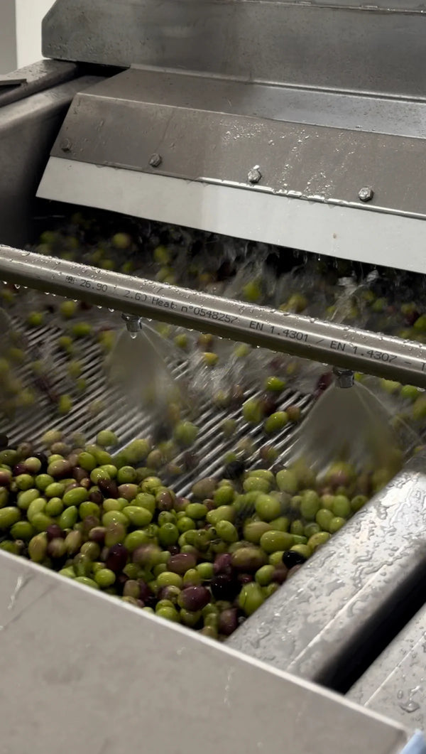 Mystikos Karpos Early Harvest Extra Virgin Olive Oil from Nemea 500ml