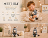 Meet Eli the Prayer Donkey
