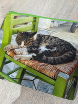 SMALL POUCH - CATS OF GREECE #1